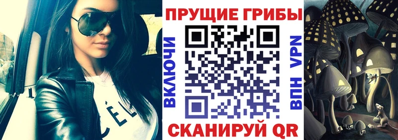 Псилоцибиновые грибы MAGIC MUSHROOMS  Суворов 